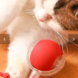 Interactive Cat Ball